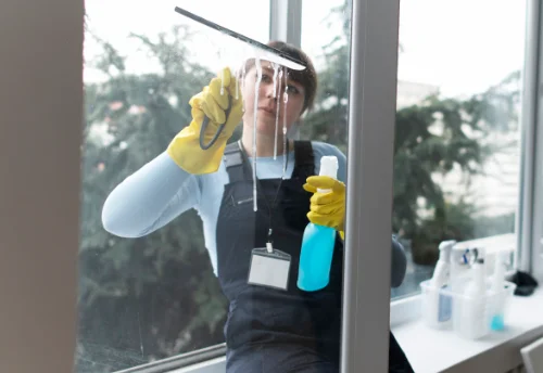 Nettoyage de vitres intérieures et extérieures à Gambais